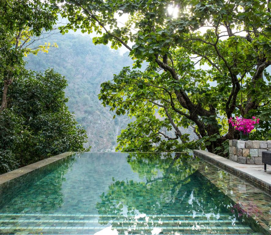Rishīkesh Outdoor Swimming Pool Taj Rishikesh Resort
