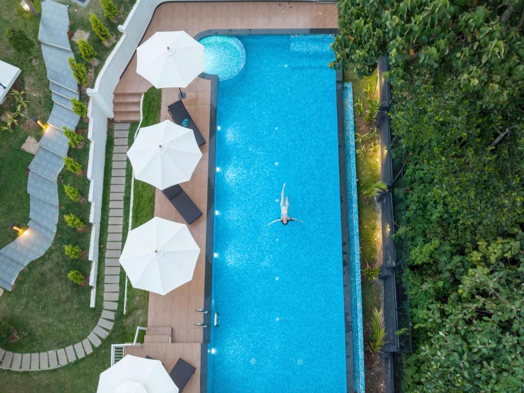 Spa Hotel Pool Sprise Munnar Resort